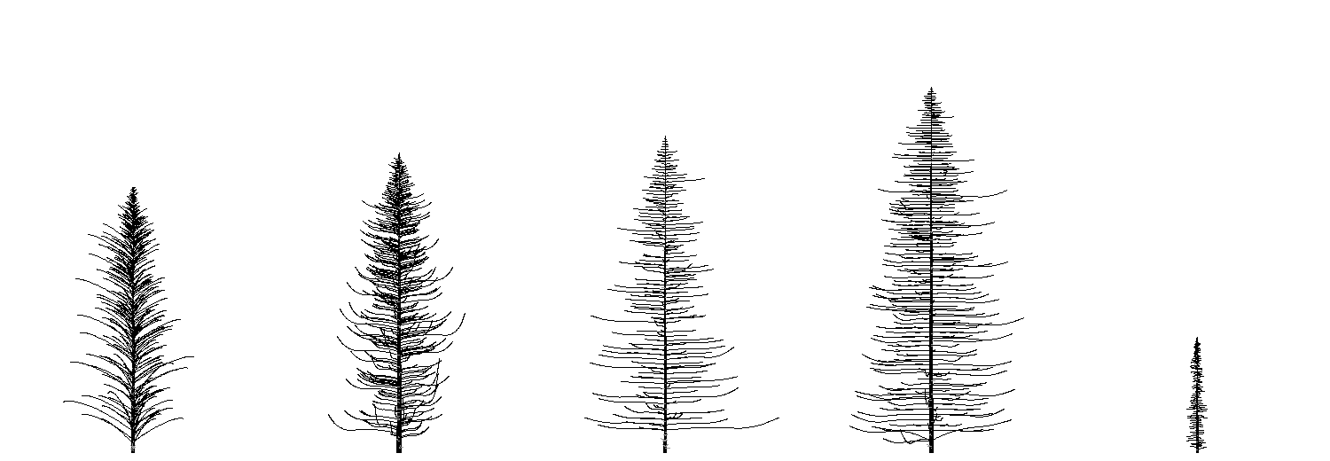 books/trees/work/skel.png