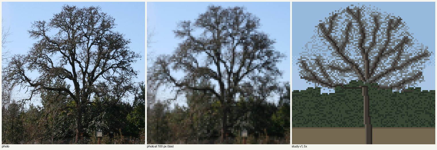 books/trees/work/oak_winter_v1.png