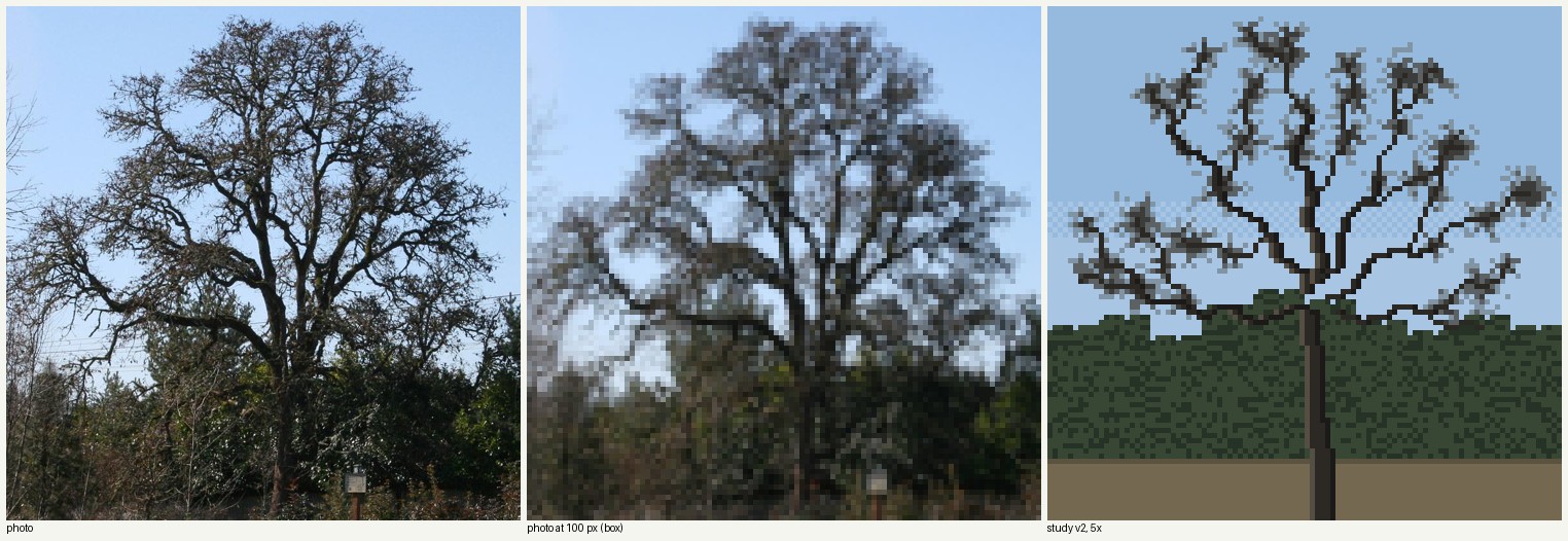 books/trees/work/oak_winter_v2.png