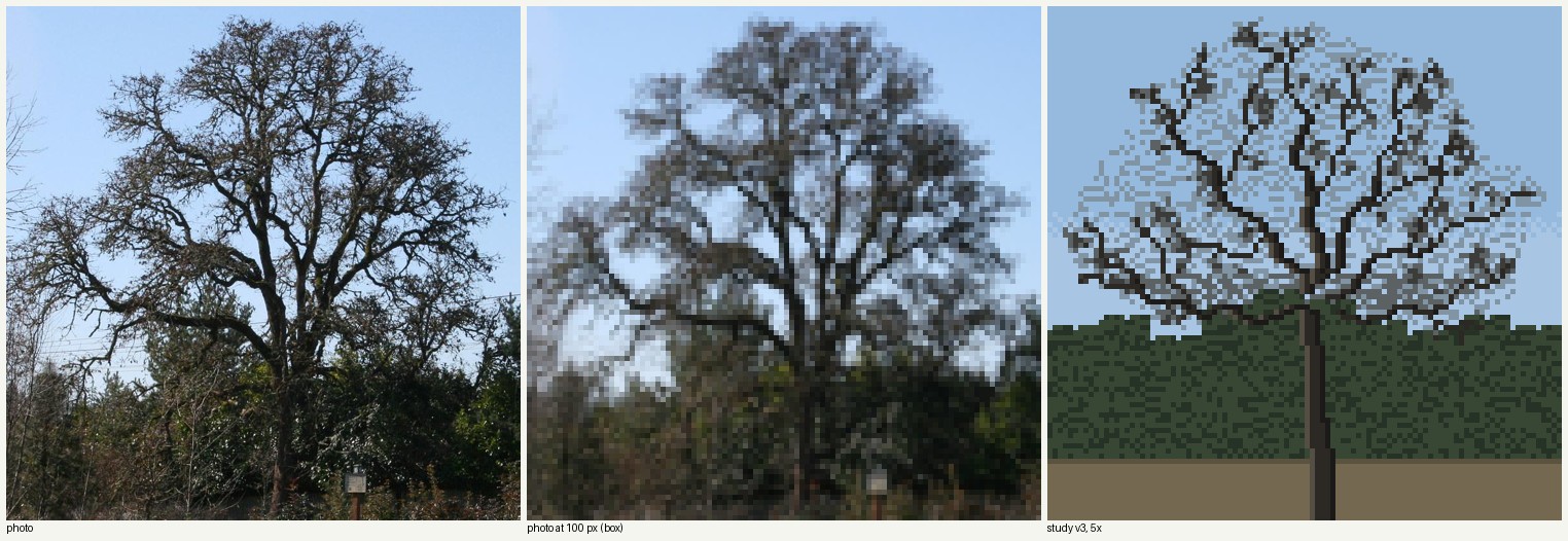 books/trees/work/oak_winter_v3.png