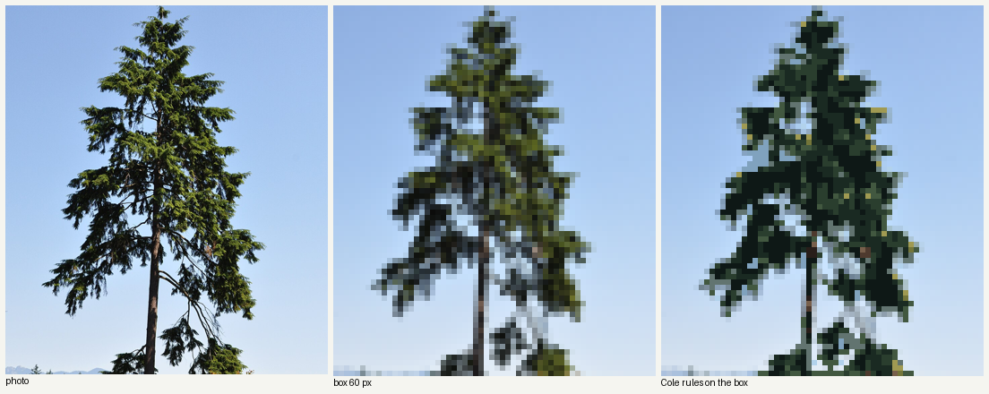 books/trees/work/hem_colepx_v1.png
