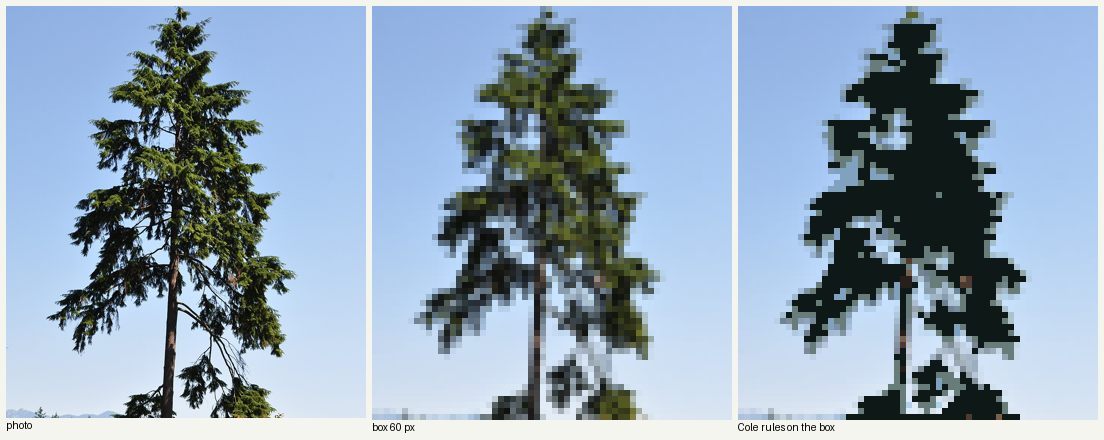 books/trees/work/hem_colepx_v1.png