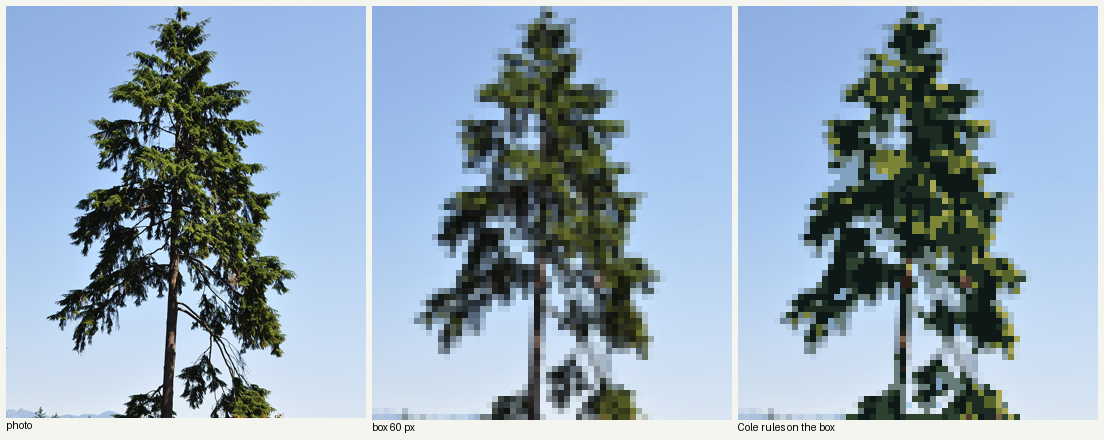 books/trees/work/hem_colepx_v1.png
