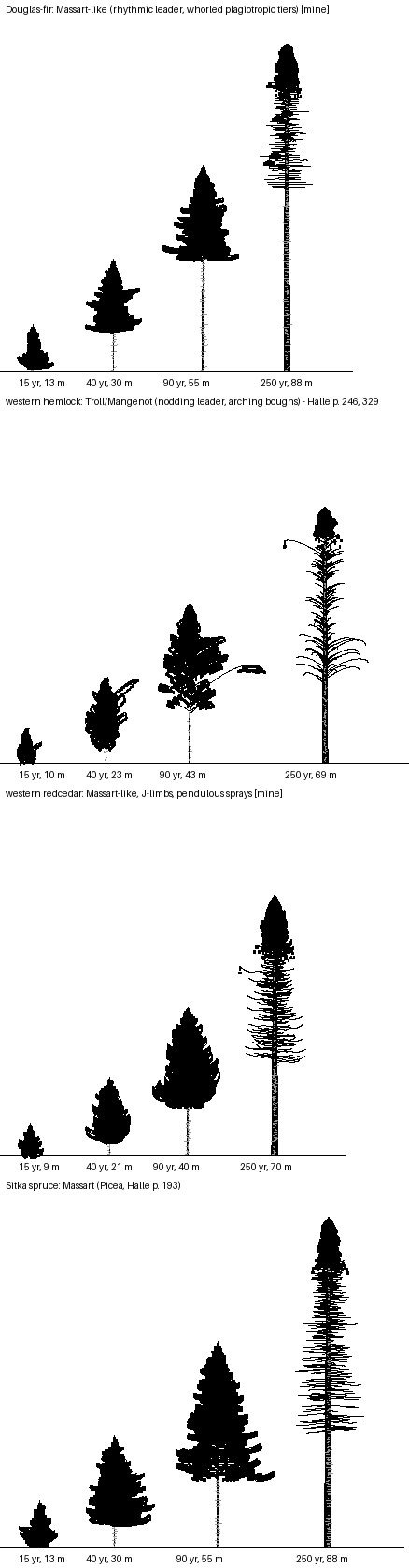 books/trees/work/arch_seq.png