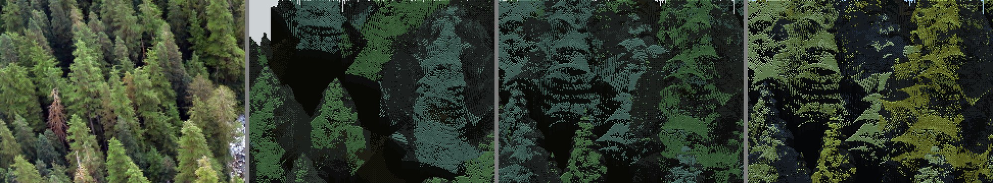 elements/canopy/stages/s2_scene/scene_vs_artlish.png