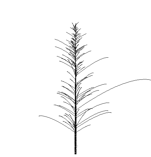 books/trees/work/skel_hem.png