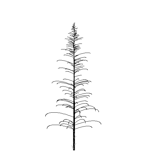 books/trees/work/skel_hem.png