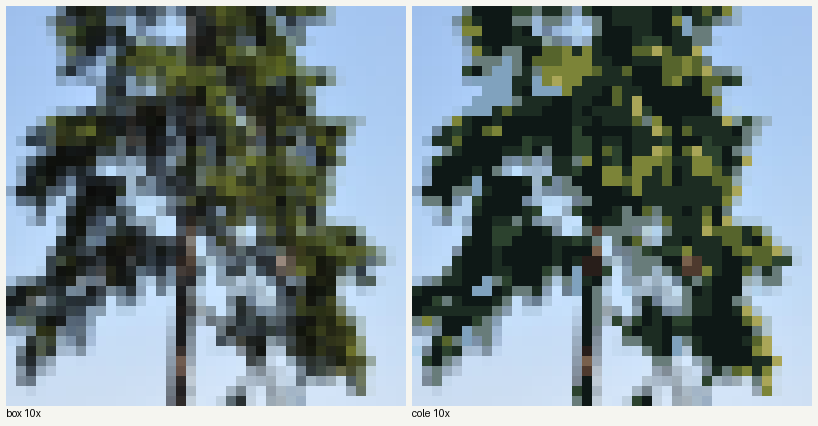 books/trees/work/hem_colepx_zoom.png
