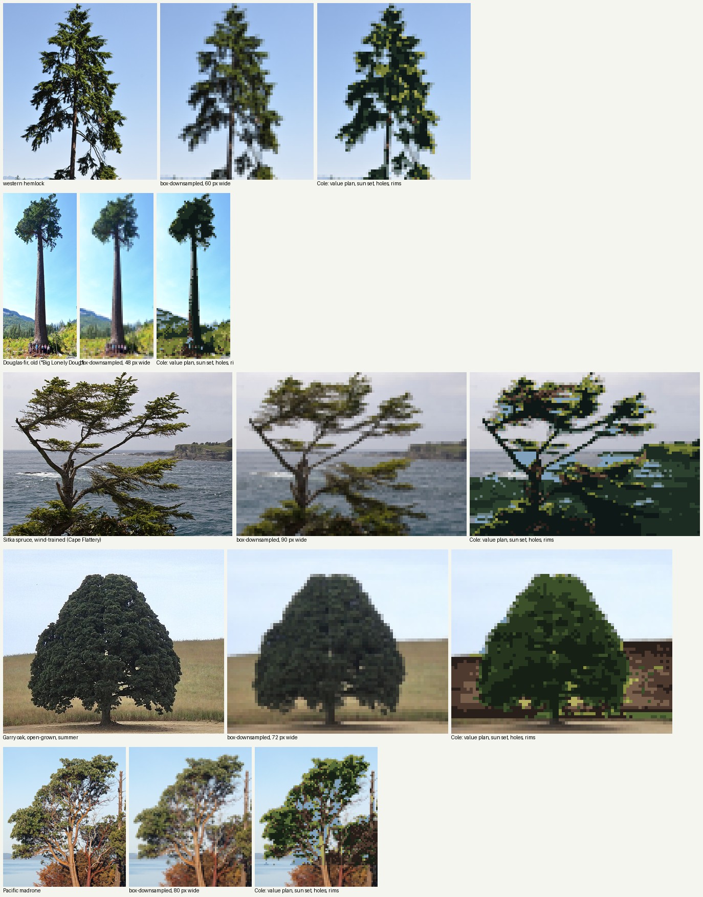 books/trees/work/photos_v1.png