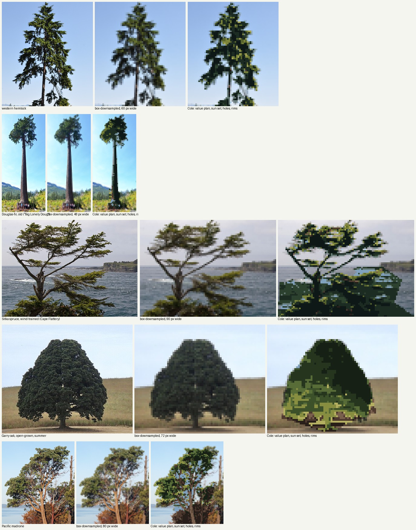 books/trees/work/photos_v1.png