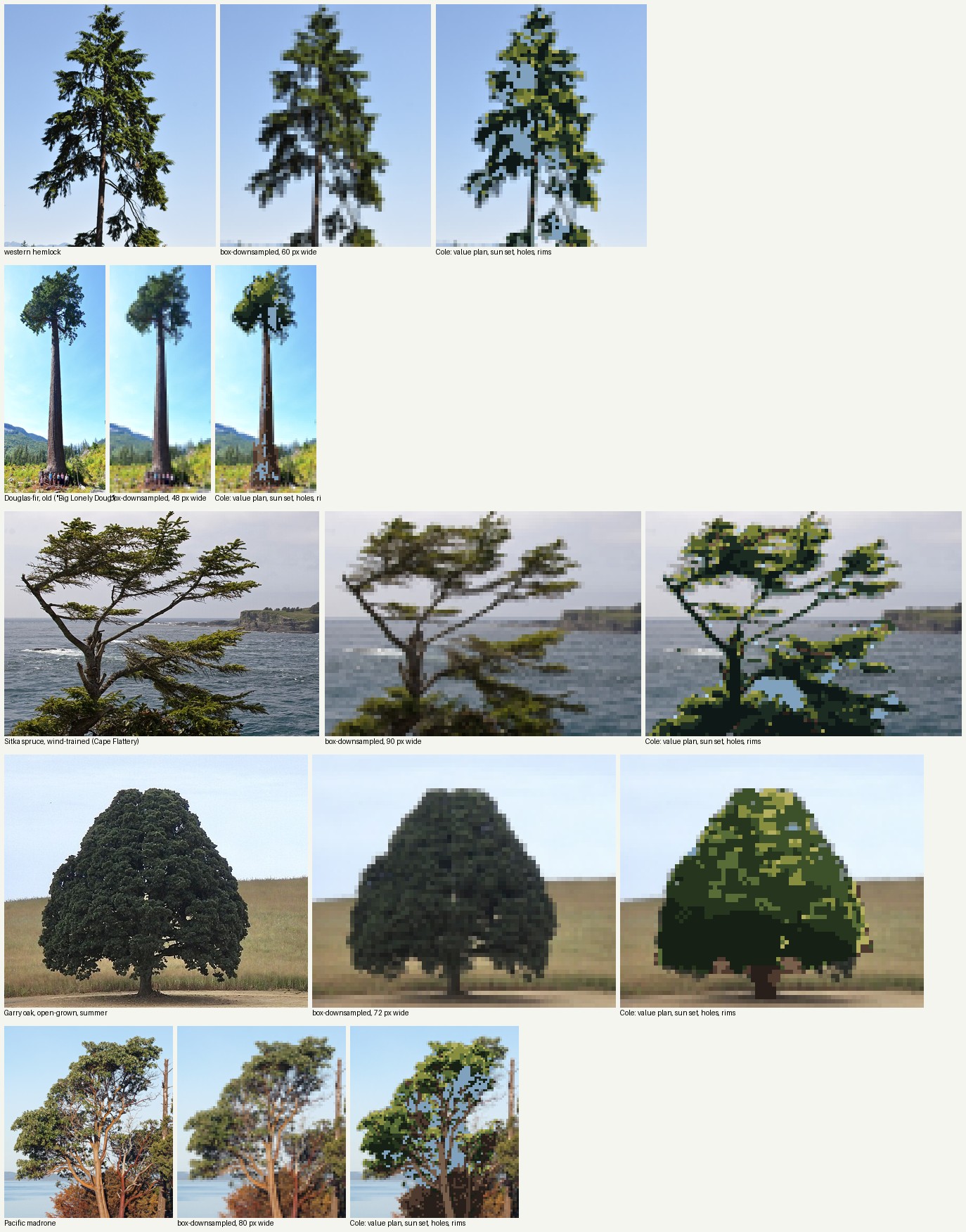 books/trees/work/photos_v1.png