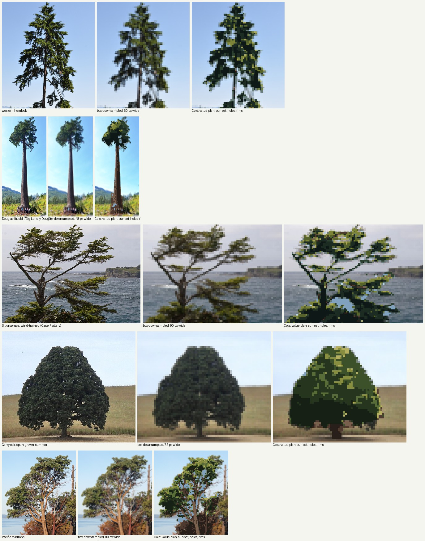 books/trees/work/photos_v1.png