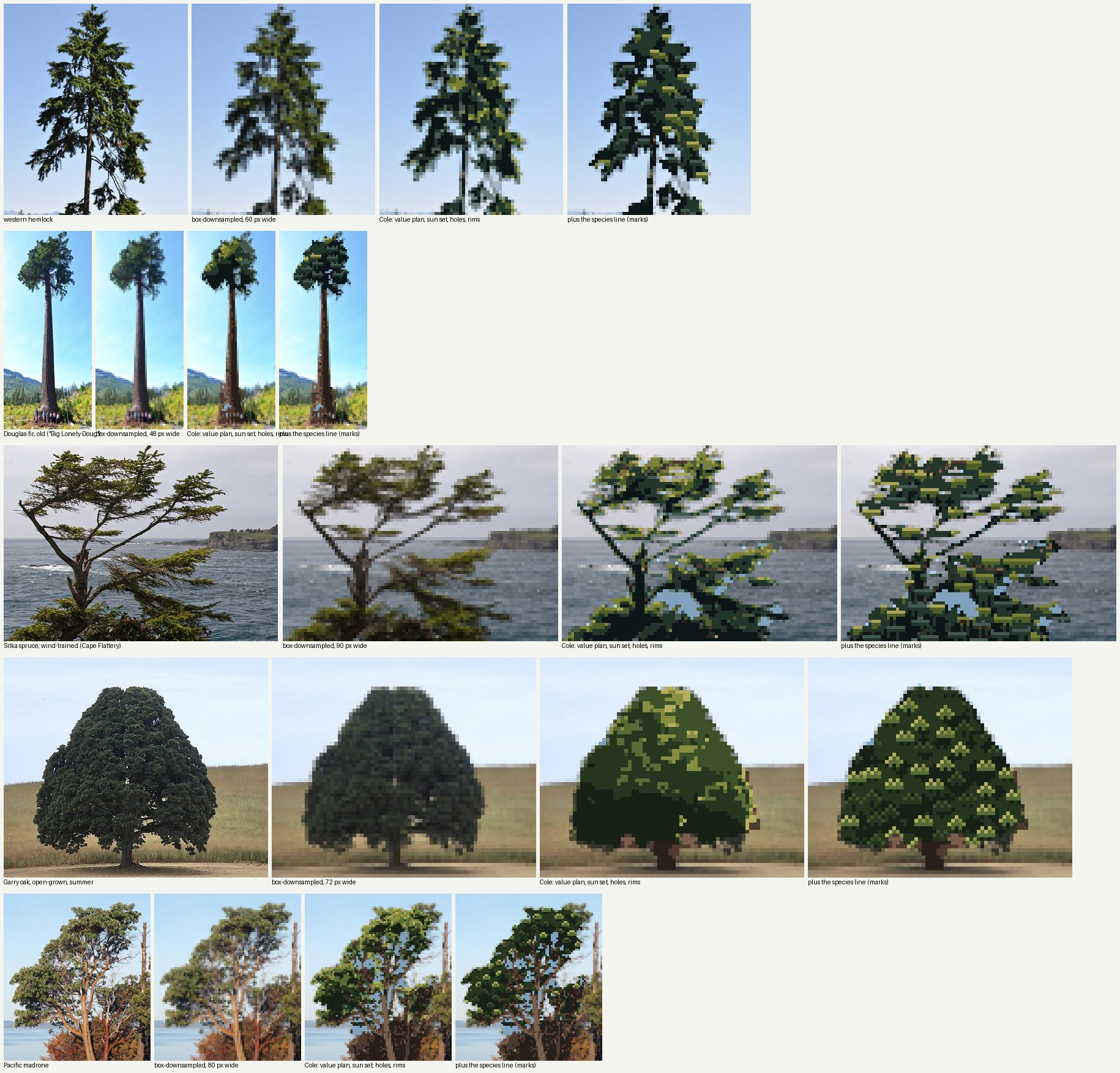 books/trees/work/photos_v1.png