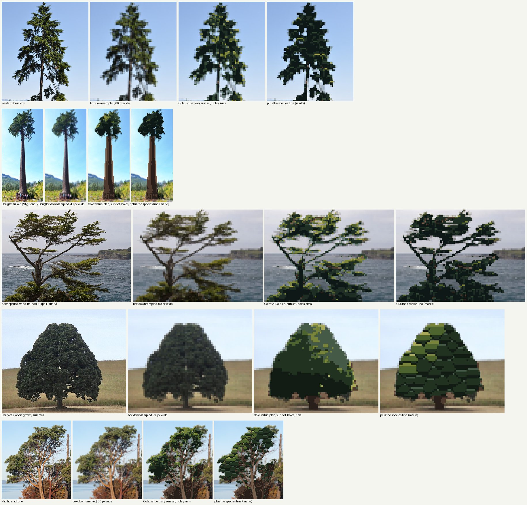 books/trees/work/photos_v1.png