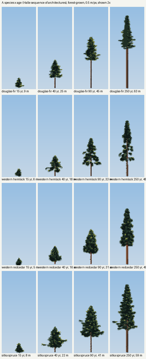 books/trees/sheets/A_species_x_age.png
