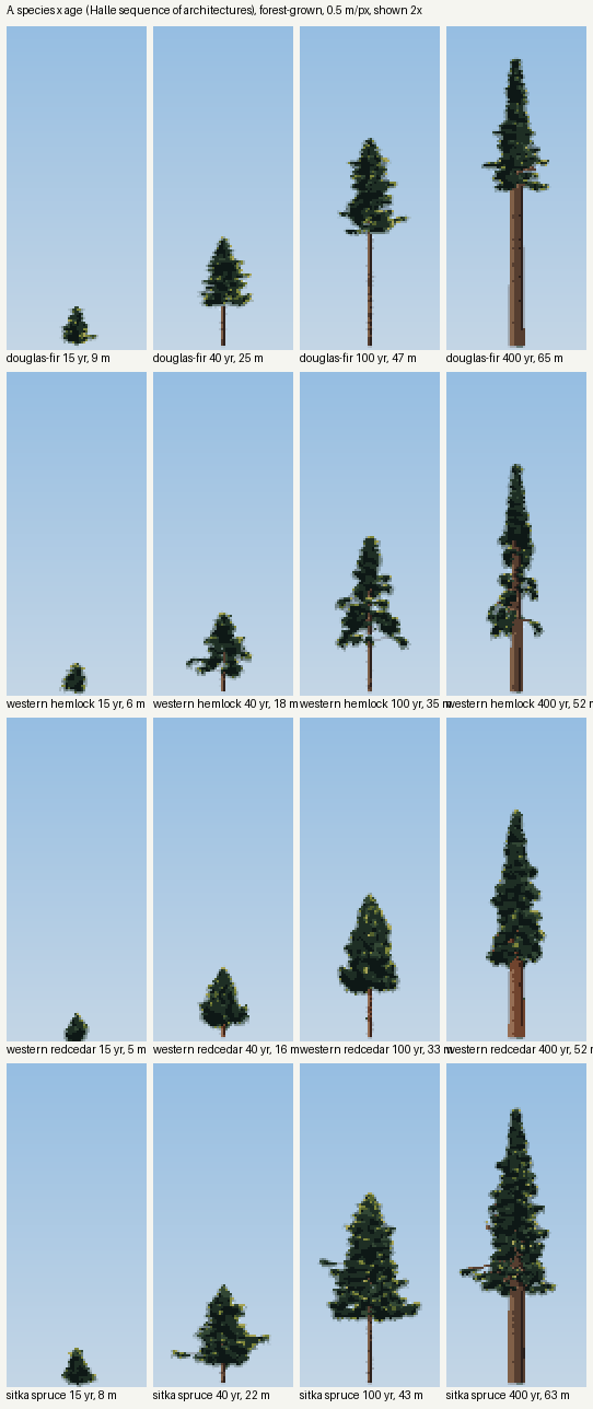 books/trees/sheets/A_species_x_age.png