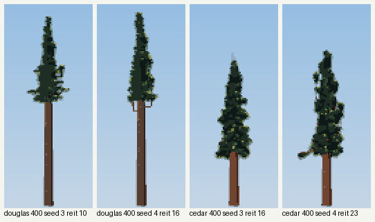 books/trees/work/old_v1.png