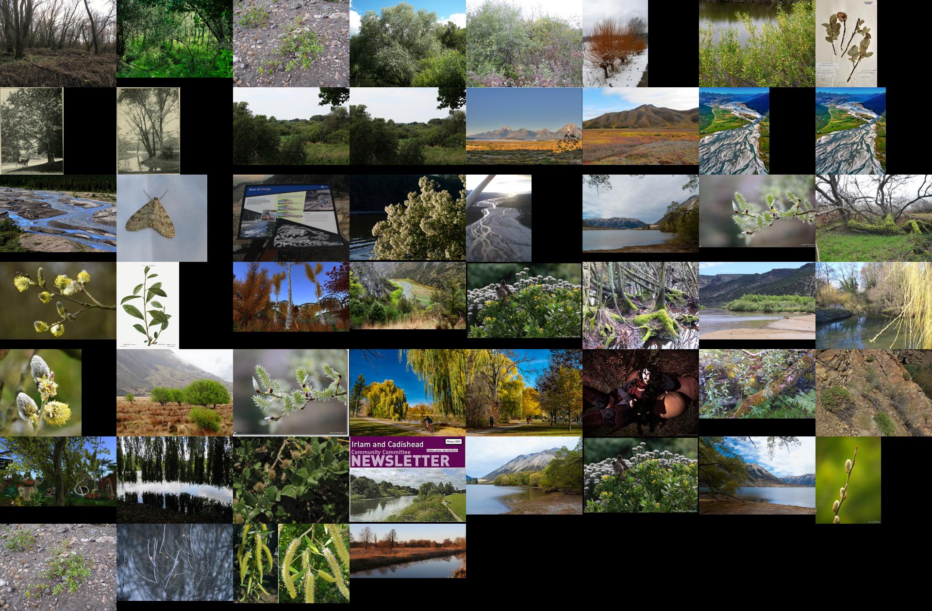 elements/willow/refs/contact.jpg