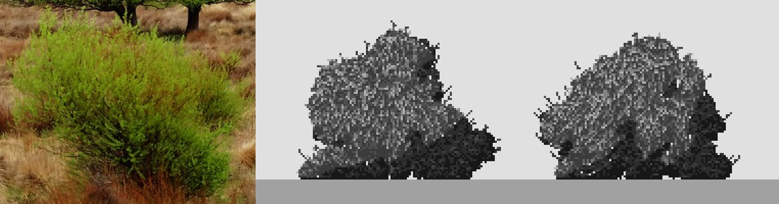 elements/willow/stage1/_try.png