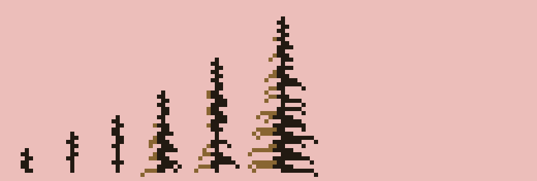 Spire spruce