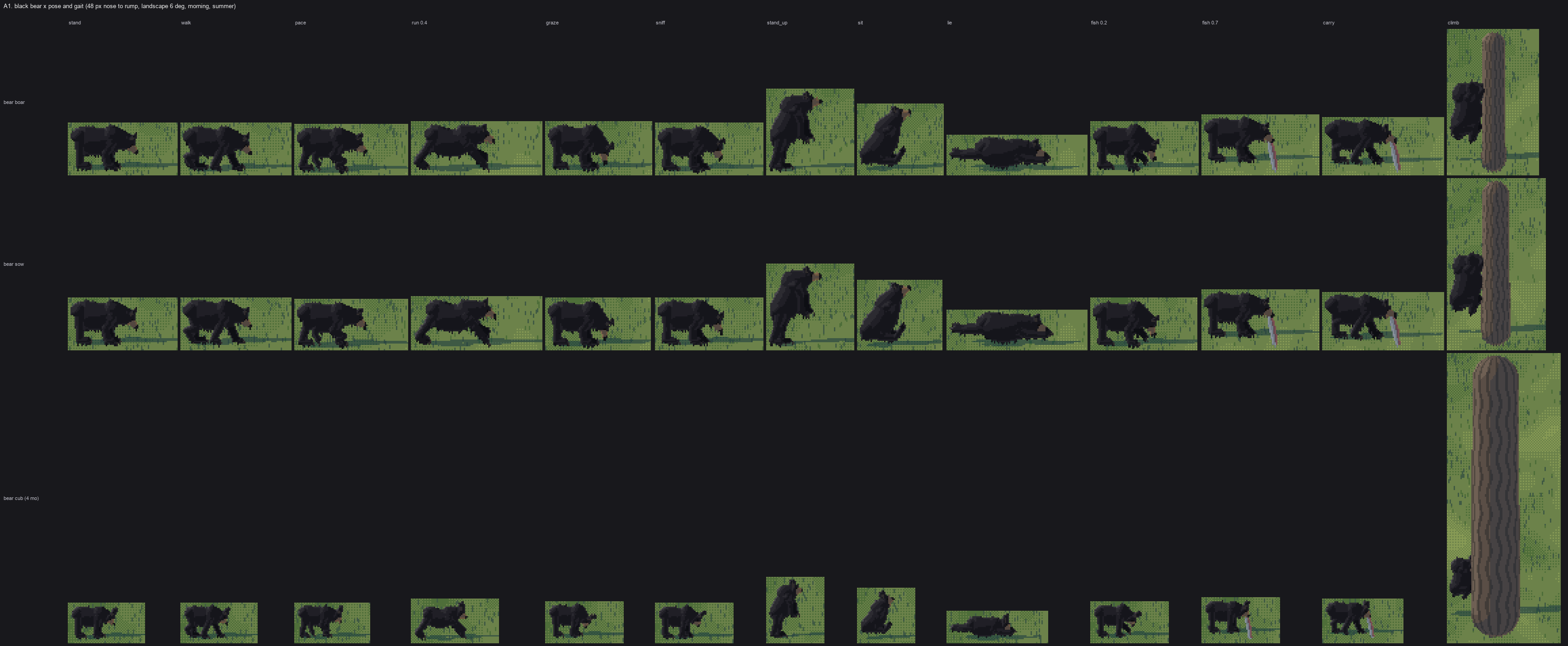 bear poses