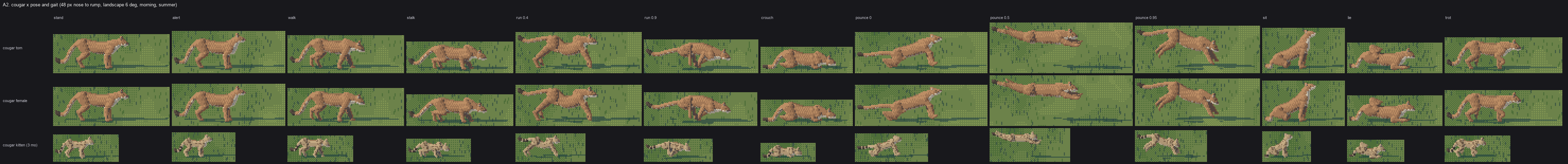 cougar poses