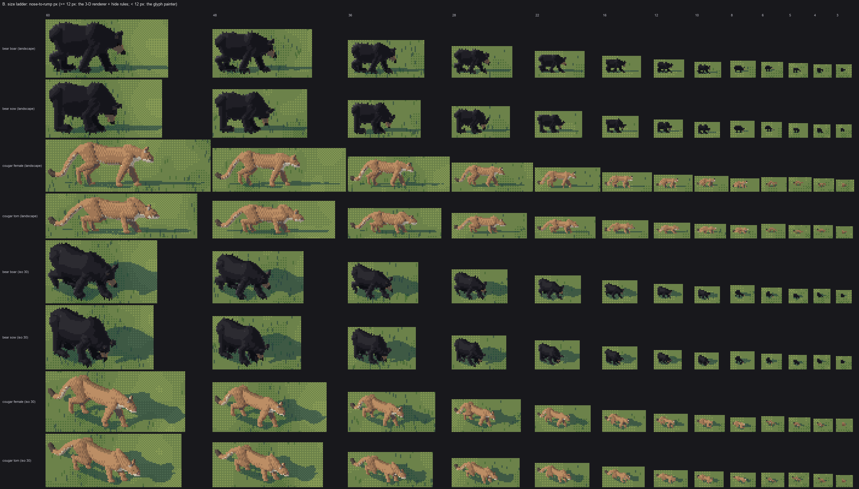 sizes