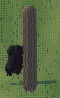 bear climb