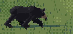 bear pace
