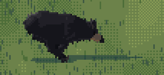 bear run