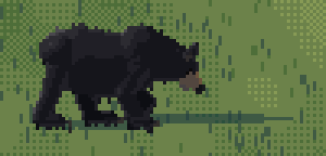 bear walk