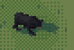 bear iso