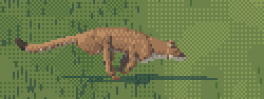 cougar run