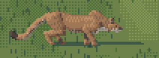 cougar stalk
