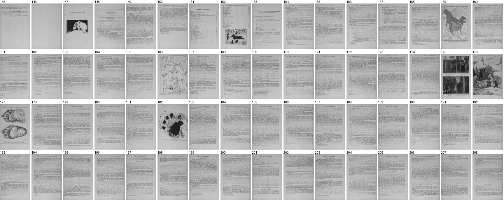 a contact sheet