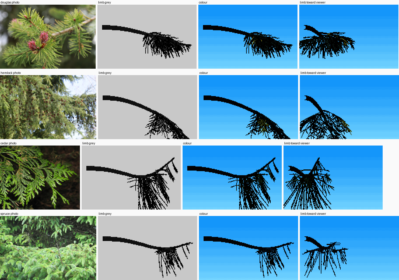 stick limbs