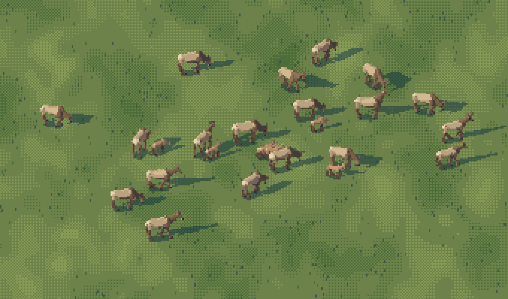 herd
