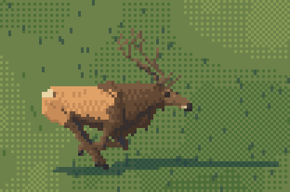 gallop gif