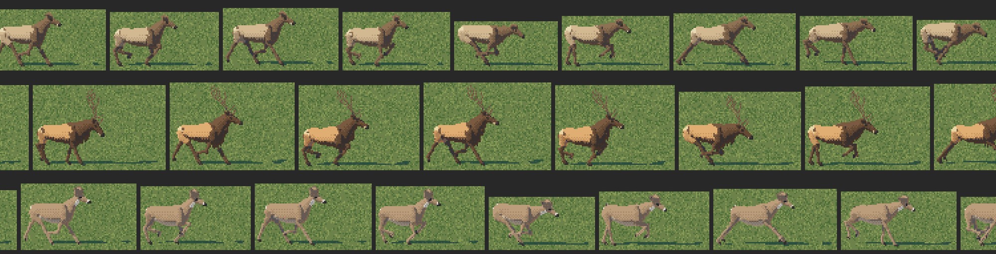 poses