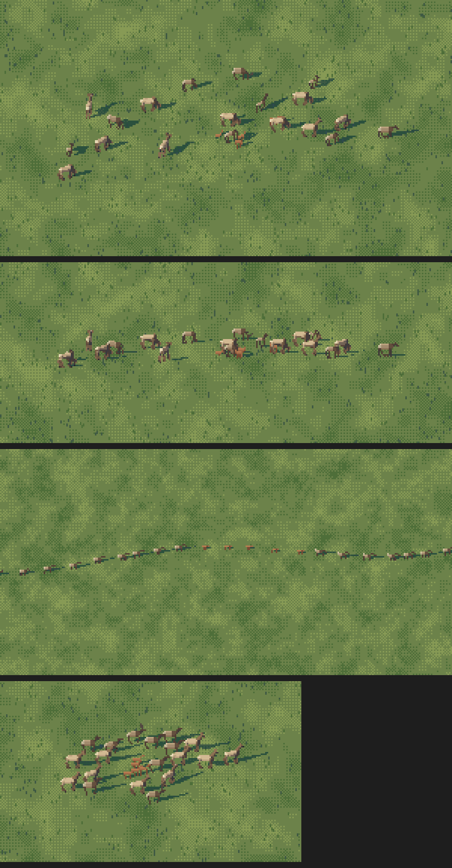 herd
