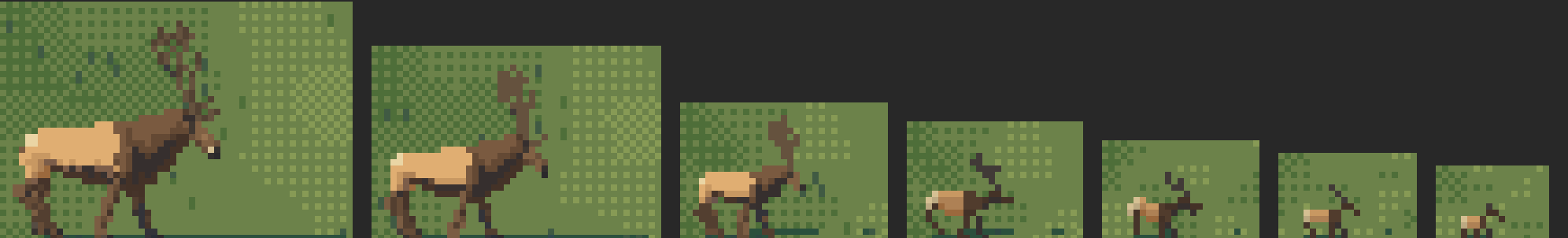 llama