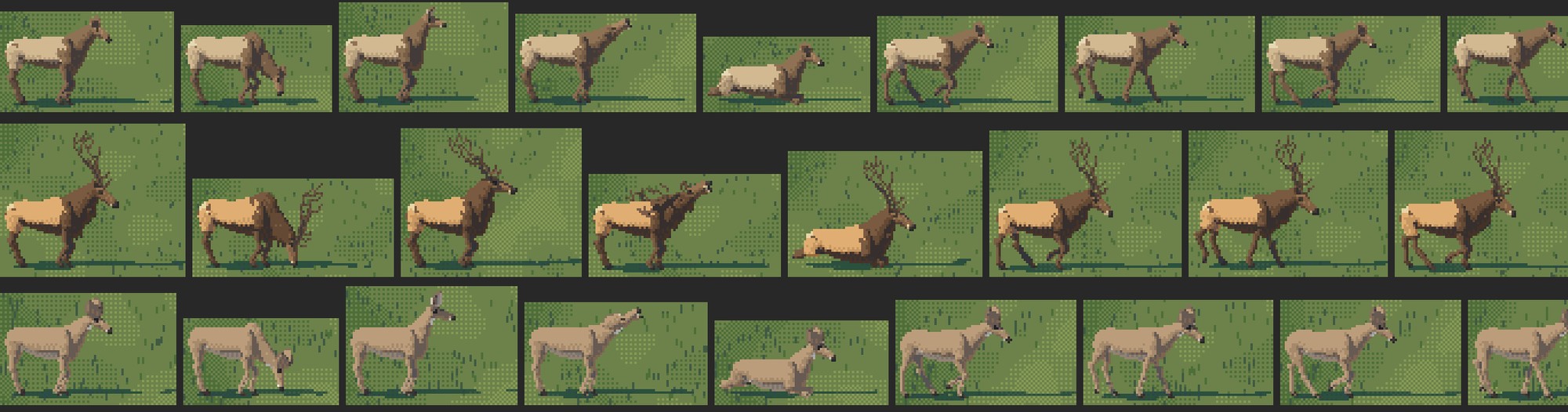 poses