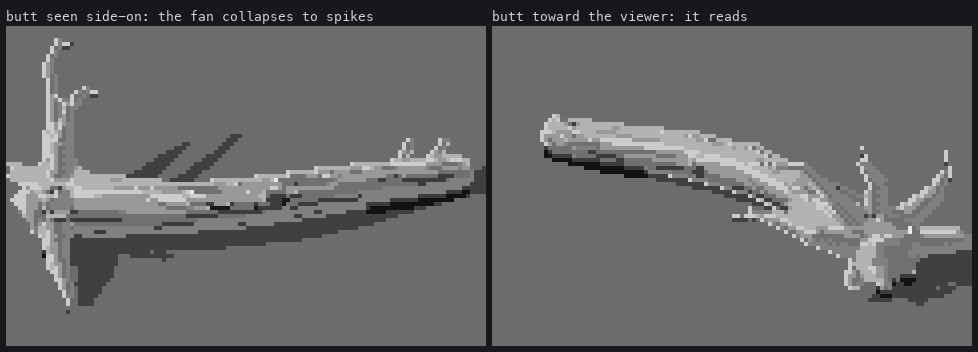 side-on and butt-toward