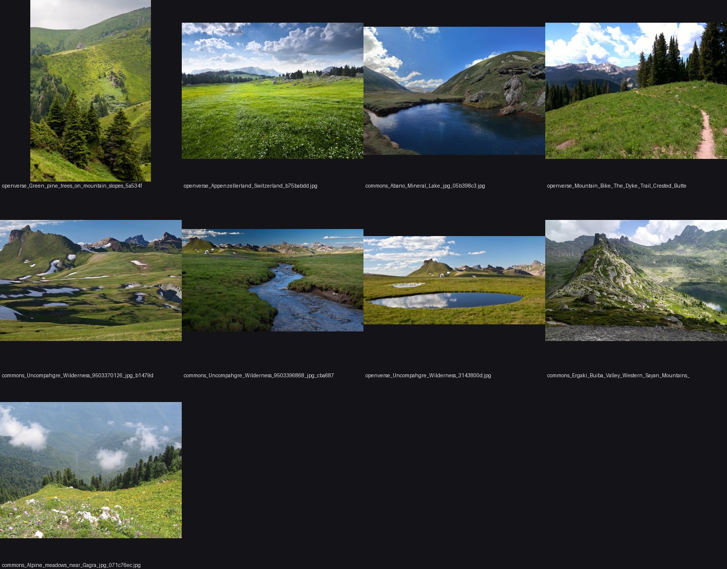 Photo sheet: alpine meadows
