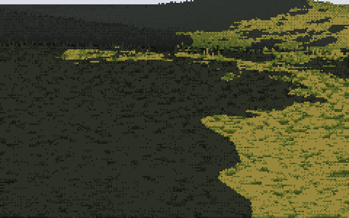 My forest pool