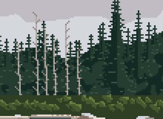 coast forest