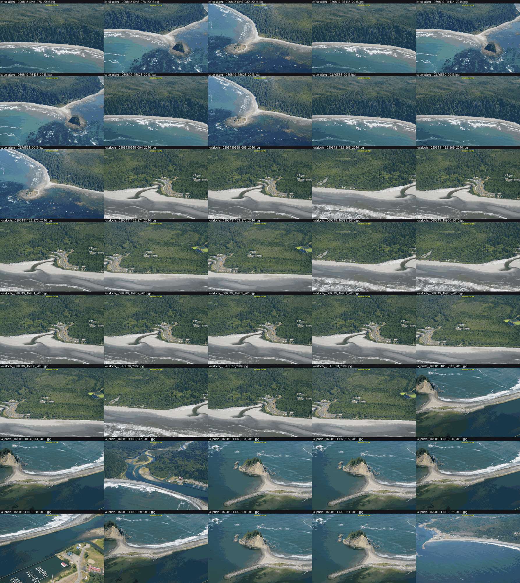 contact sheet