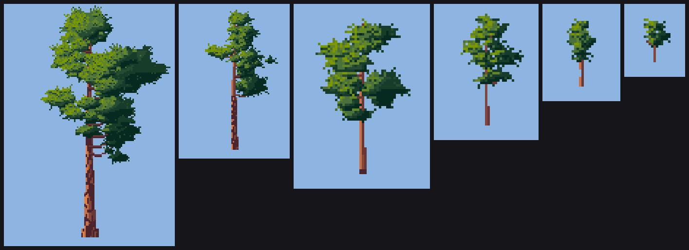 small pines, after